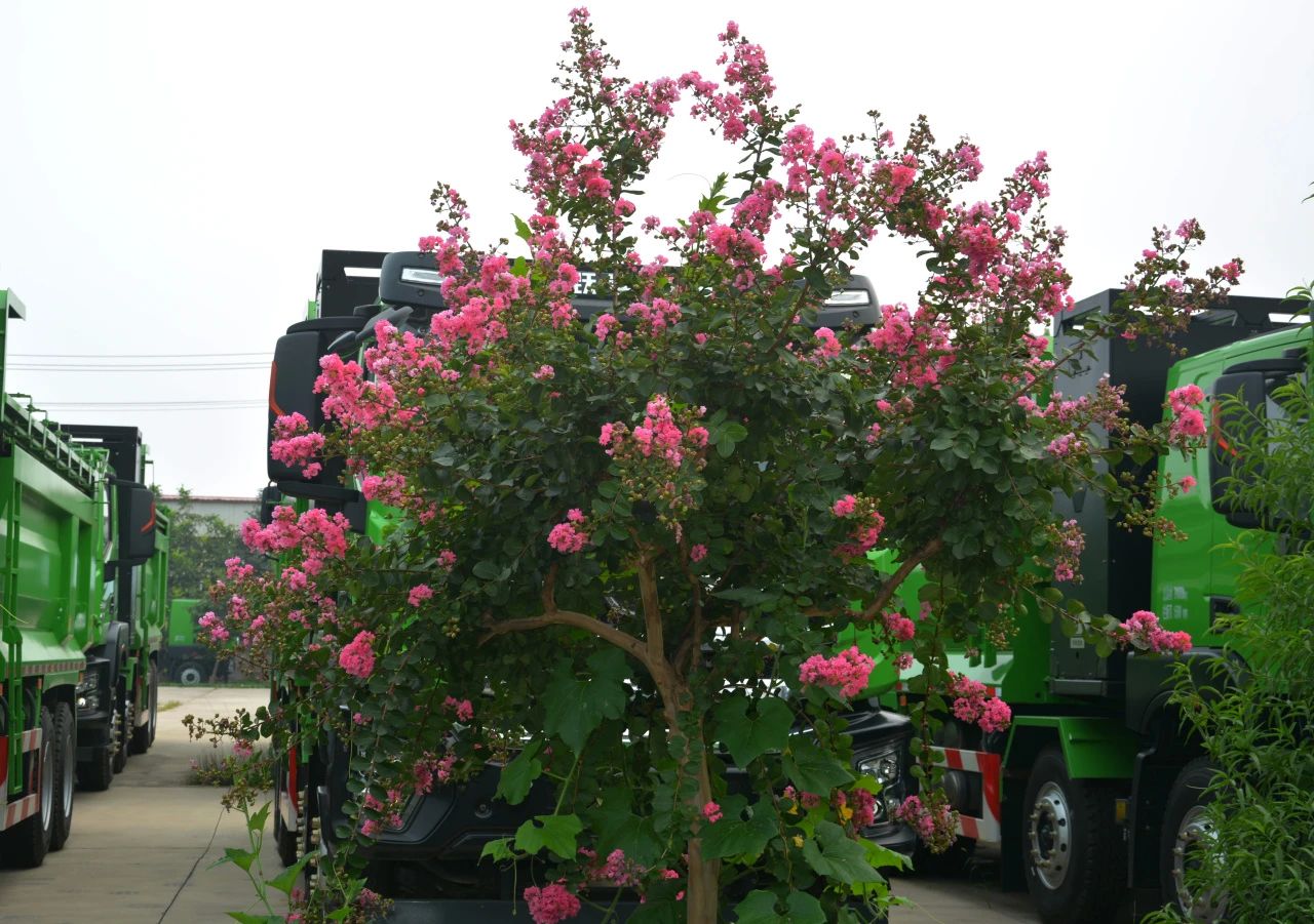 企業風采丨帶您領略躍迪美景