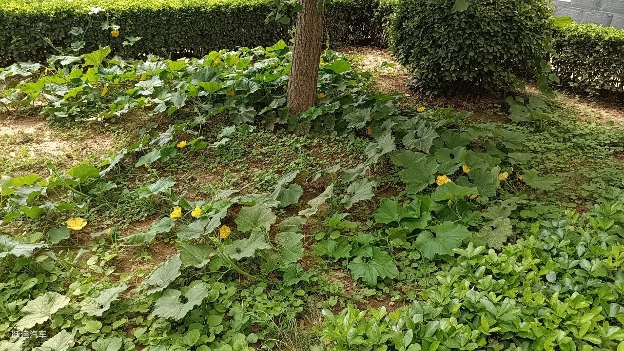 企業風采丨帶您領略躍迪美景